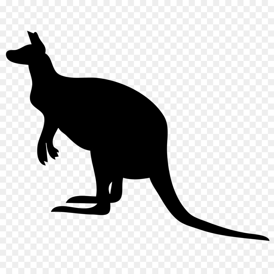 Kanguru，Walabi Cadangan PNG