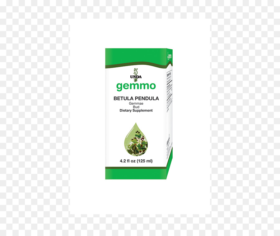 Gemmotherapy，Blackcurrant PNG