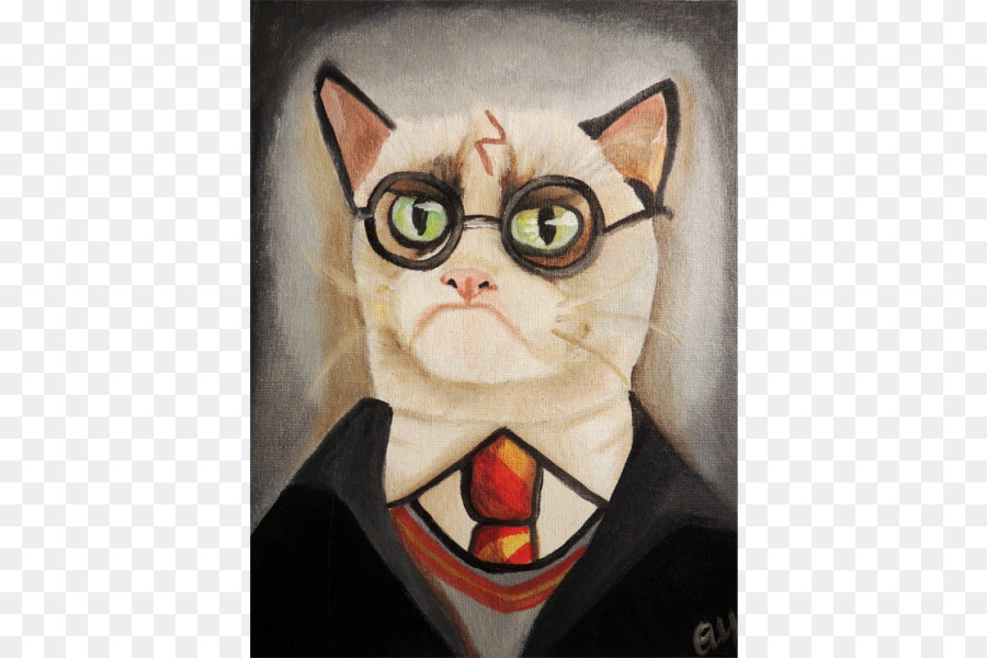 Kucing，Kacamata PNG