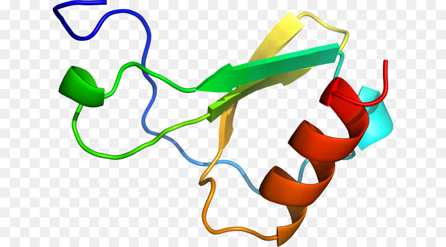 Heliks Protein，Molekul PNG