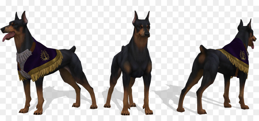 Dobermann，Memberkati Online PNG