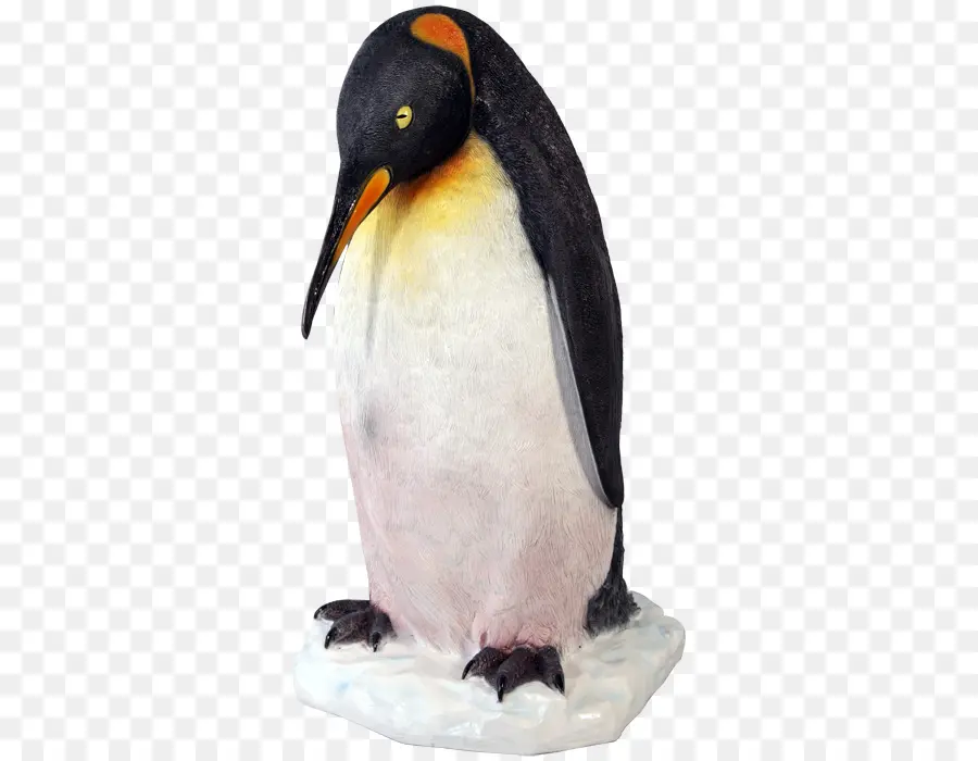 Penguin，Raja Penguin PNG