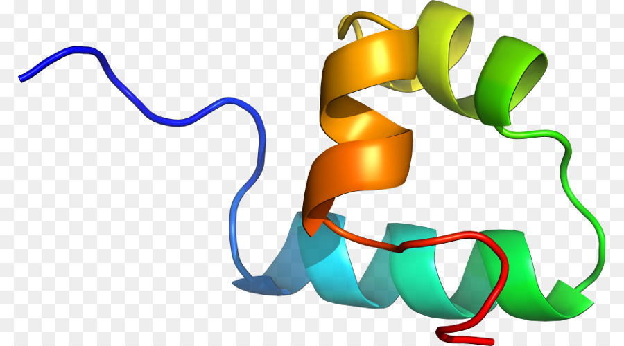 Heliks Protein，Molekul PNG