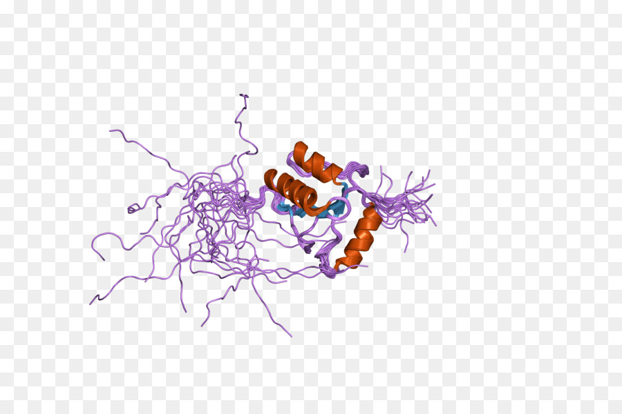 Struktur Protein，Molekul PNG