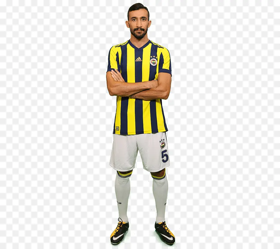 Hasan Ali Trotoar，Fenerbahce Sk PNG