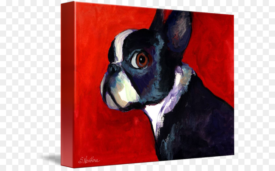 Boston Terrier，Bull Terrier PNG