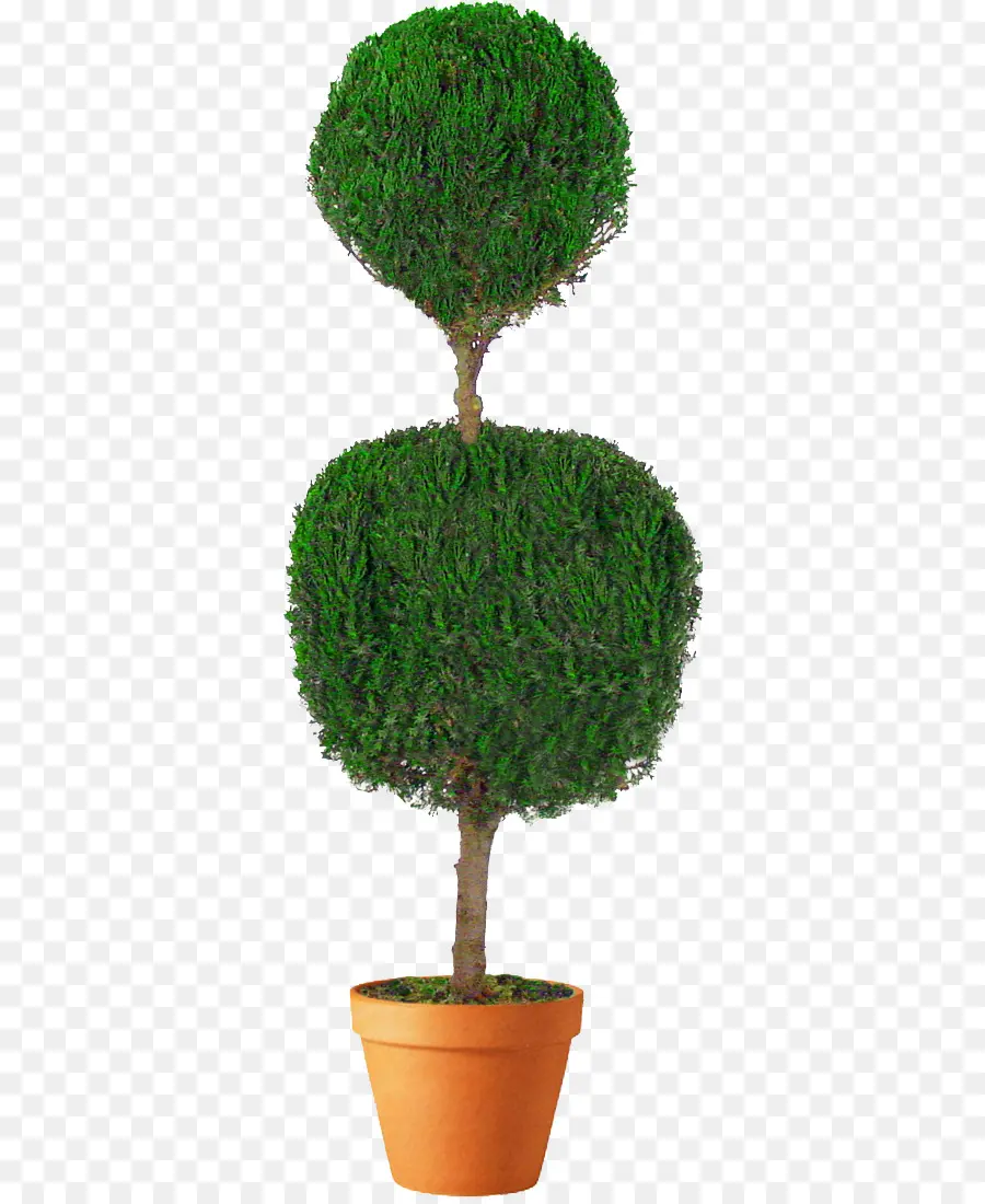 Pohon Topiary，Pot PNG