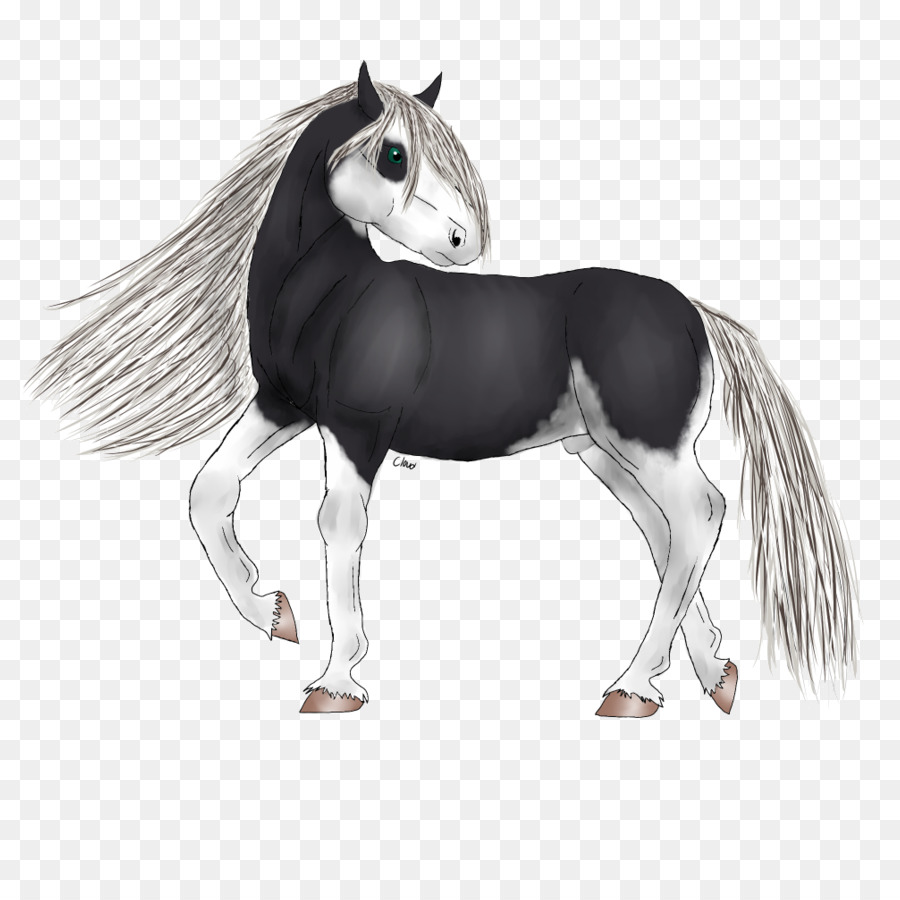 Surai，Pony PNG