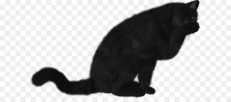 Kucing Hitam，Bulu PNG