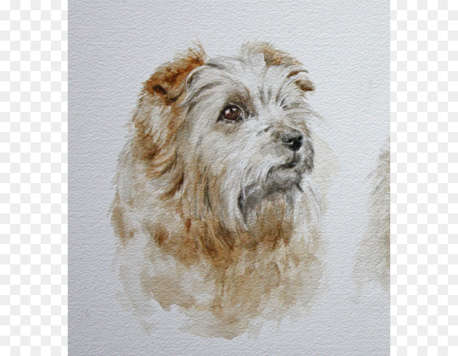 Glen，Norfolk Terrier PNG