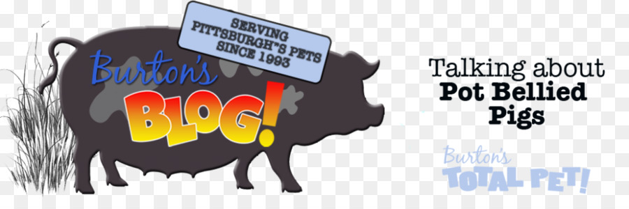 Babi，Tshirt PNG