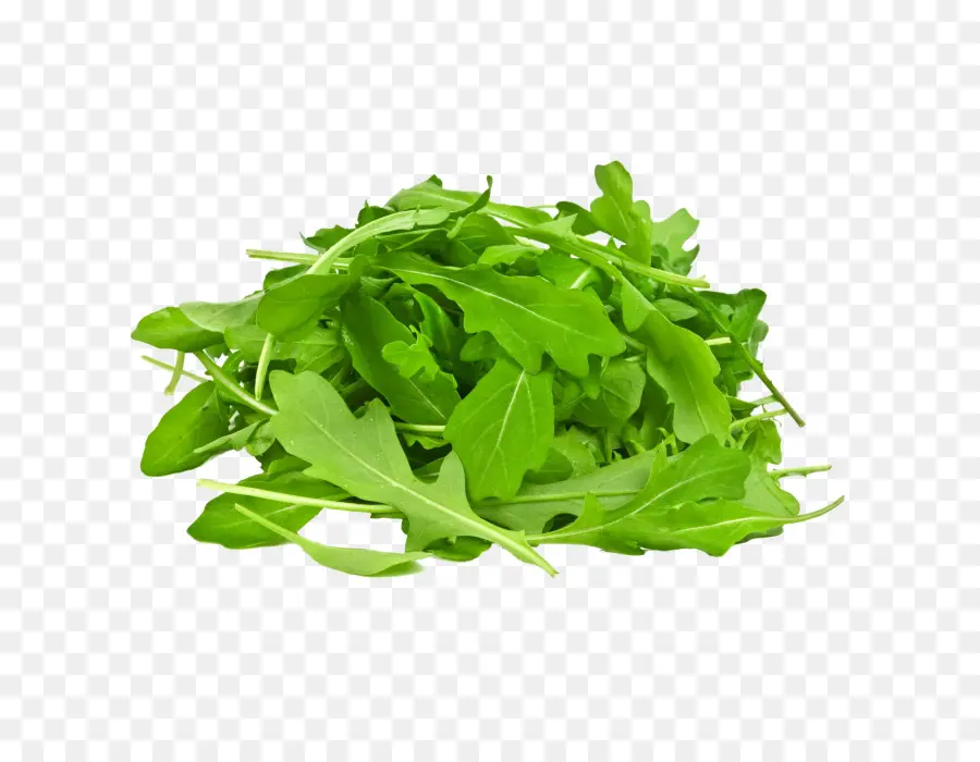 Arugula，Hijau PNG