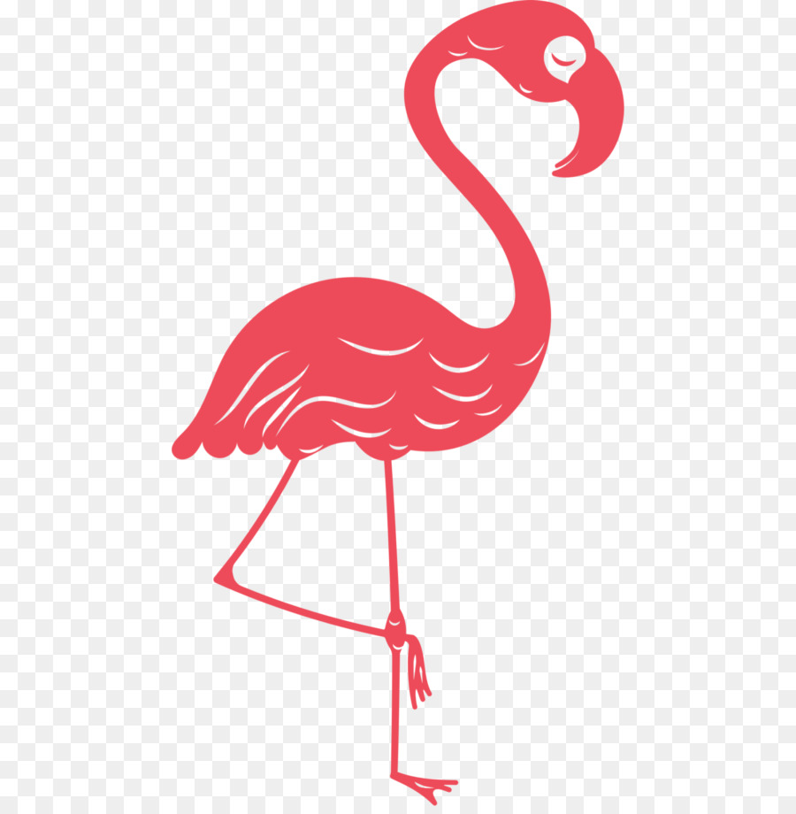 Flamingo，Burung PNG