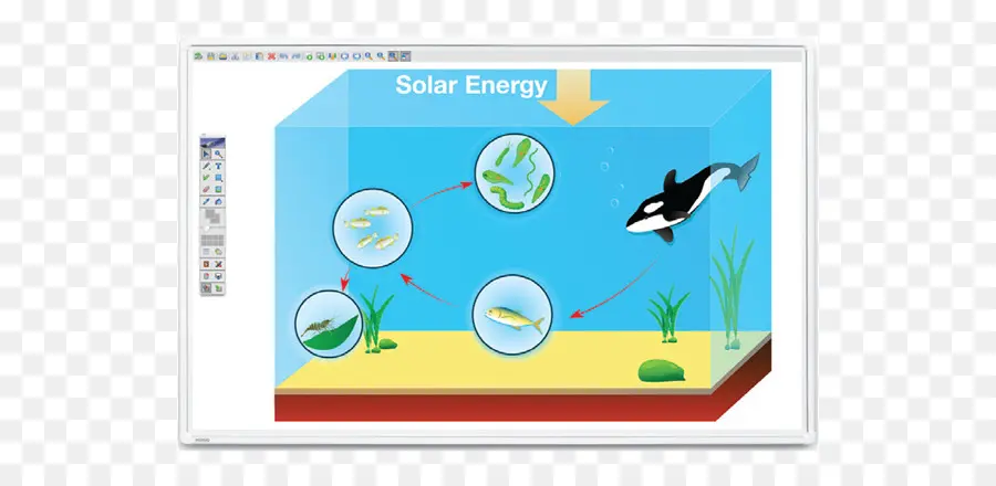 Diagram Energi Matahari，Ekosistem PNG