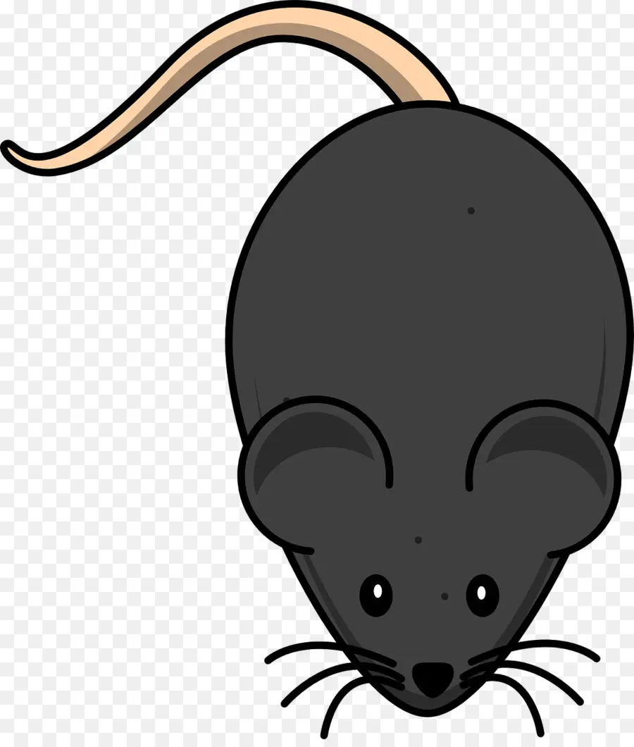 Mouse，Laboratorium Tikus PNG