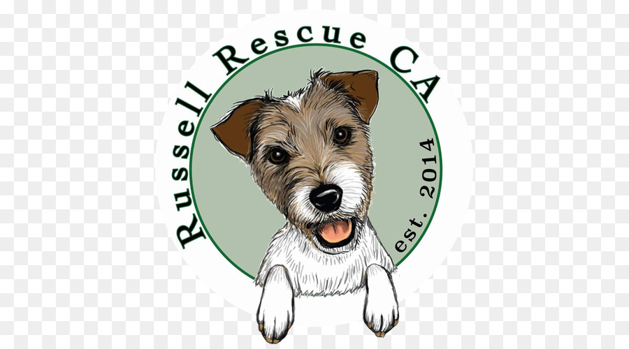 Cairn Terrier，Norwich Terrier PNG