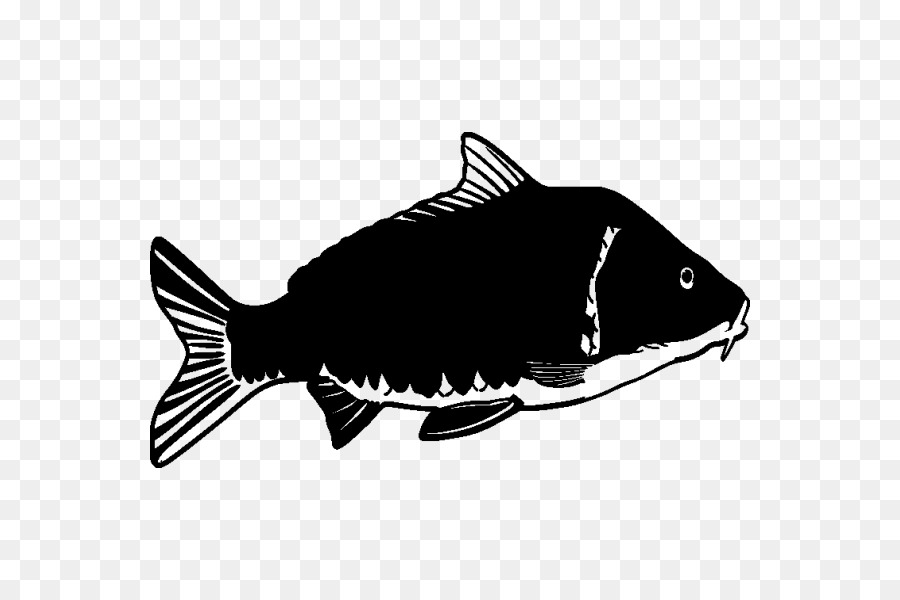Ikan，Stiker PNG