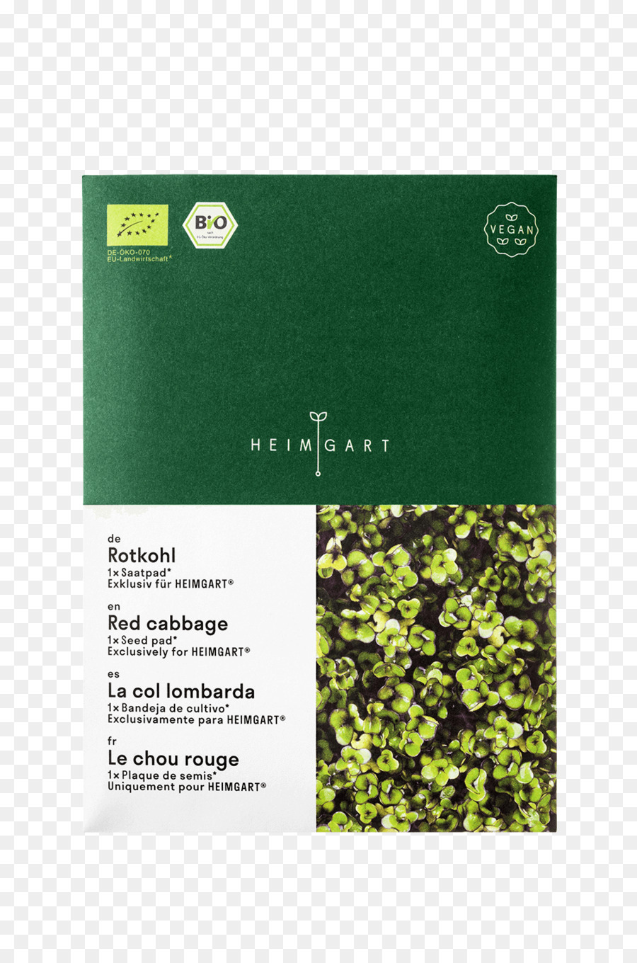 Teks，Microgreen PNG