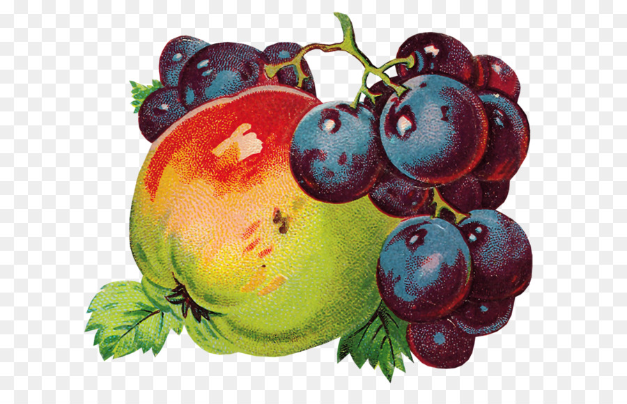 Anggur，Berry PNG