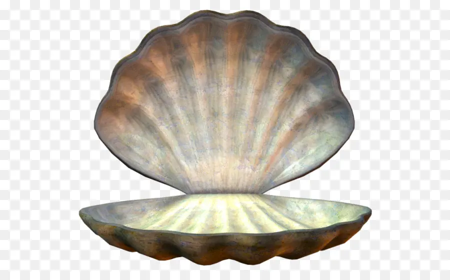 Cangkang Terbuka，Kerang Laut PNG