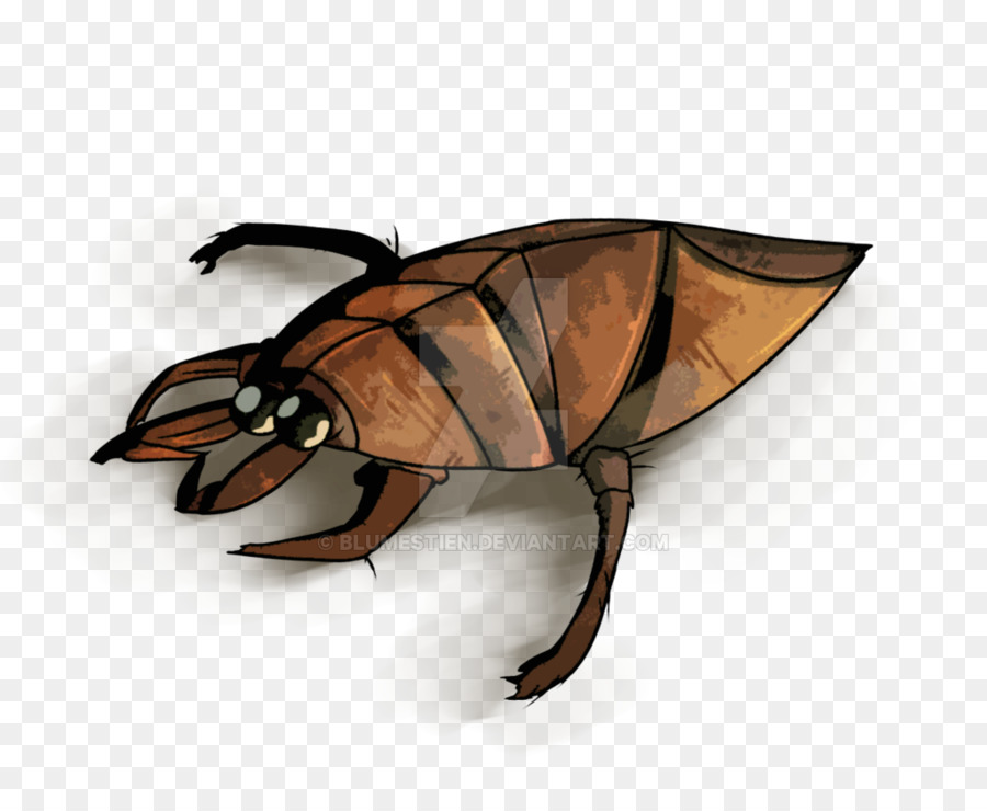 Serangga，Scarab PNG