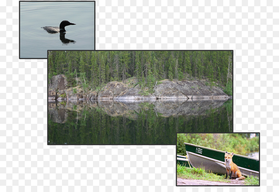 Jan Lake Saskatchewan，Tiga Danau Camp PNG