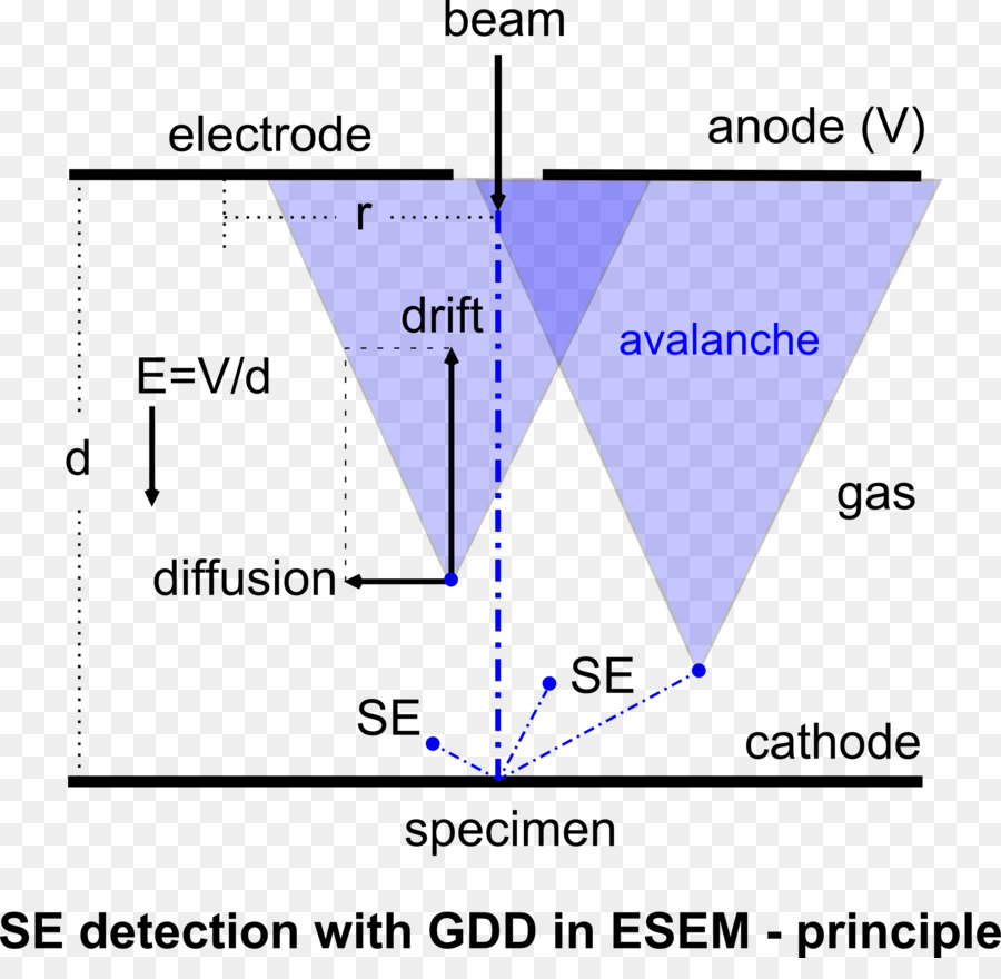 Mikroskop Elektron Scanning Lingkungan，Detektor Thornley Everhart PNG