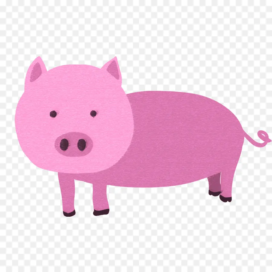 Babi，Babi Domestik PNG