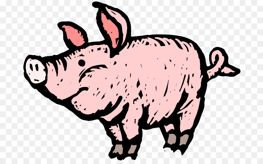 Babi，Peternakan PNG