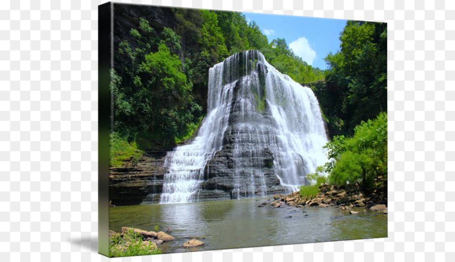 Air Terjun，Pohon PNG