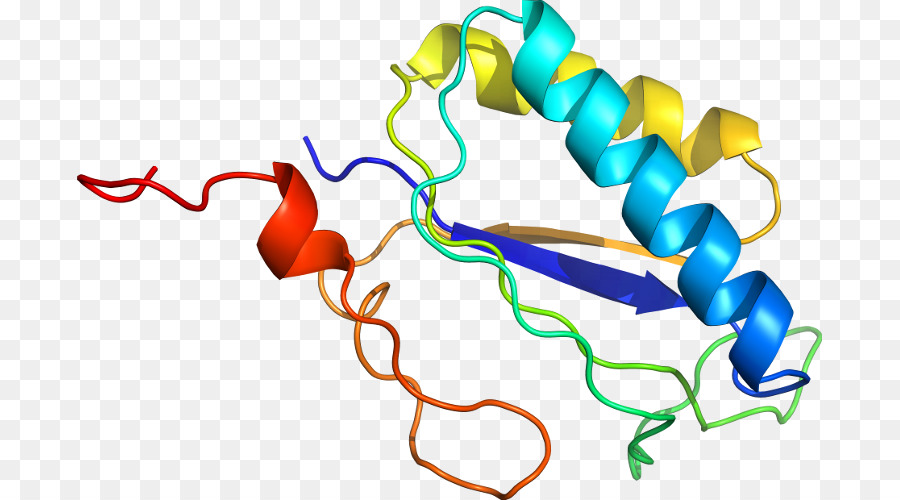 Heliks Protein，Molekul PNG