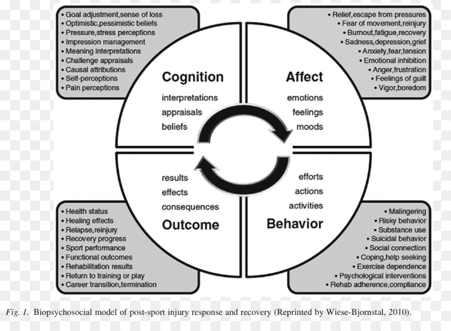 Model Biopsikososial，Cedera Olahraga PNG