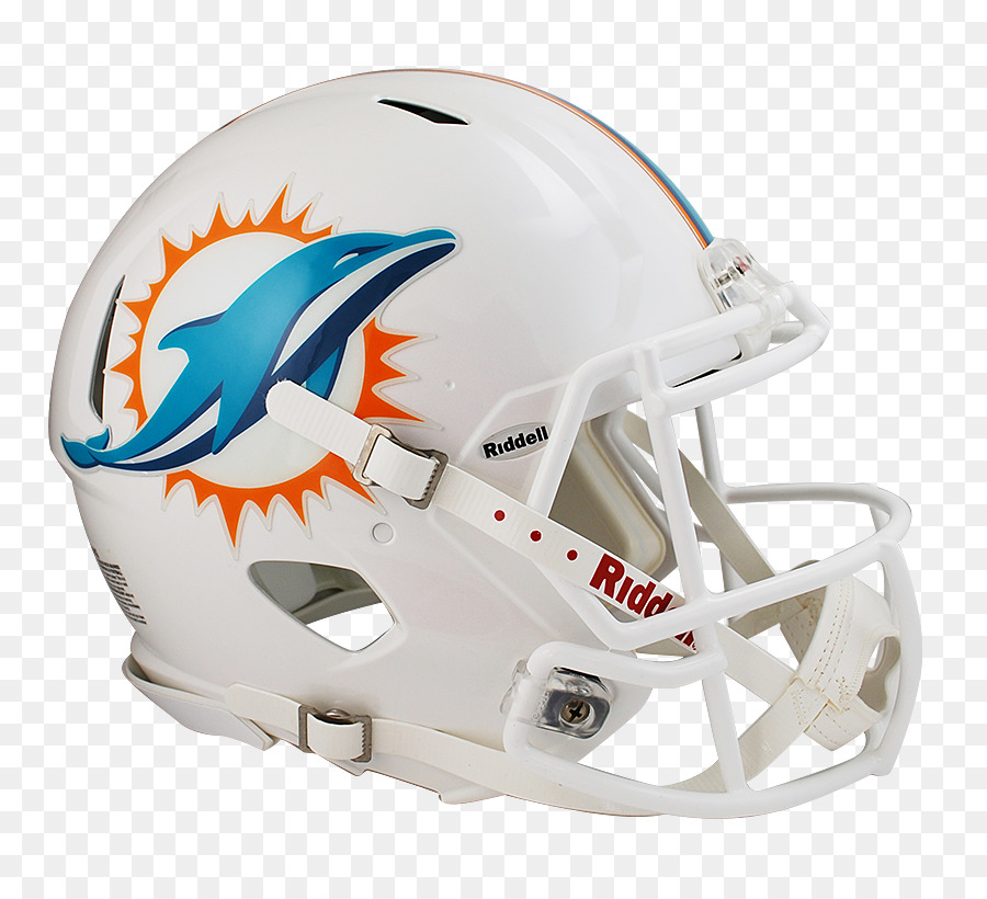 Miami Dolphins，Tahun 1973 Miami Dolphins Musim PNG