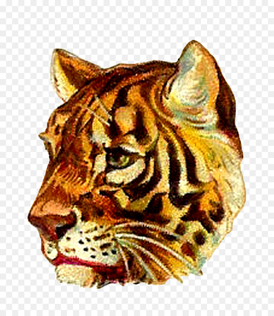 Harimau，Singa PNG