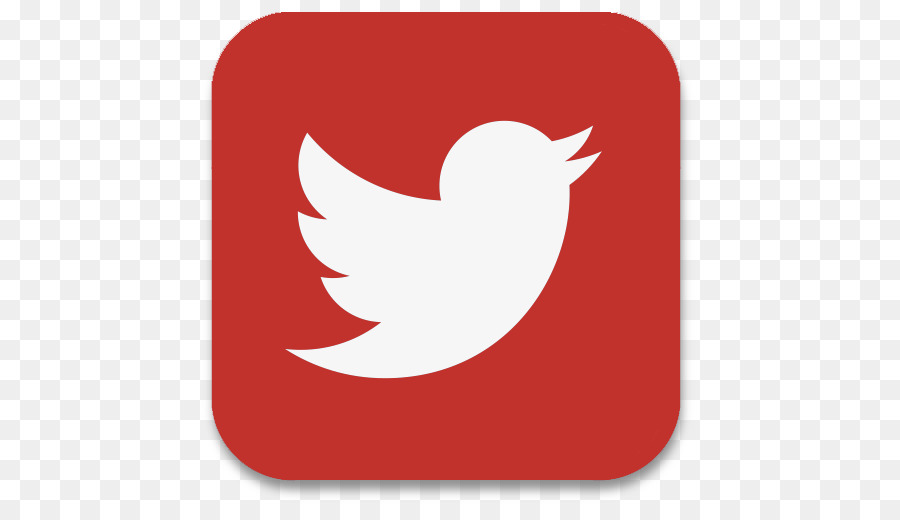 Logo Twitter，Media Sosial PNG