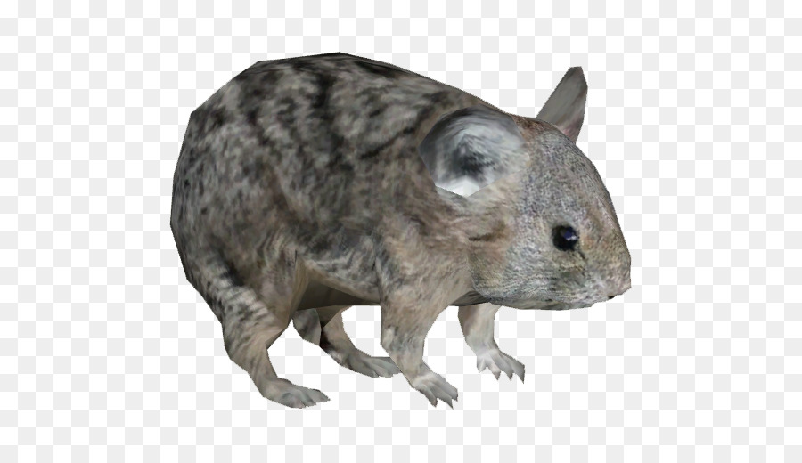 Hewan Pengerat，Mouse PNG