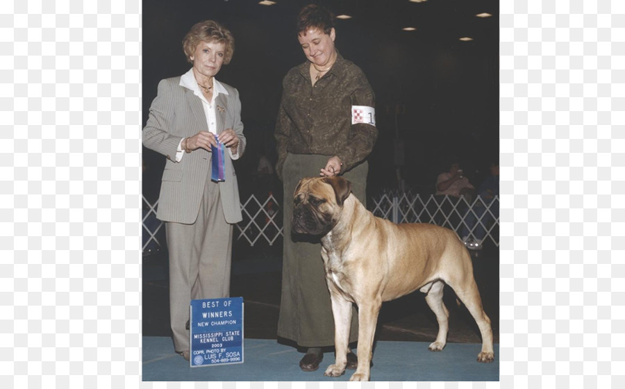 Great Dane，Bullmastiff PNG