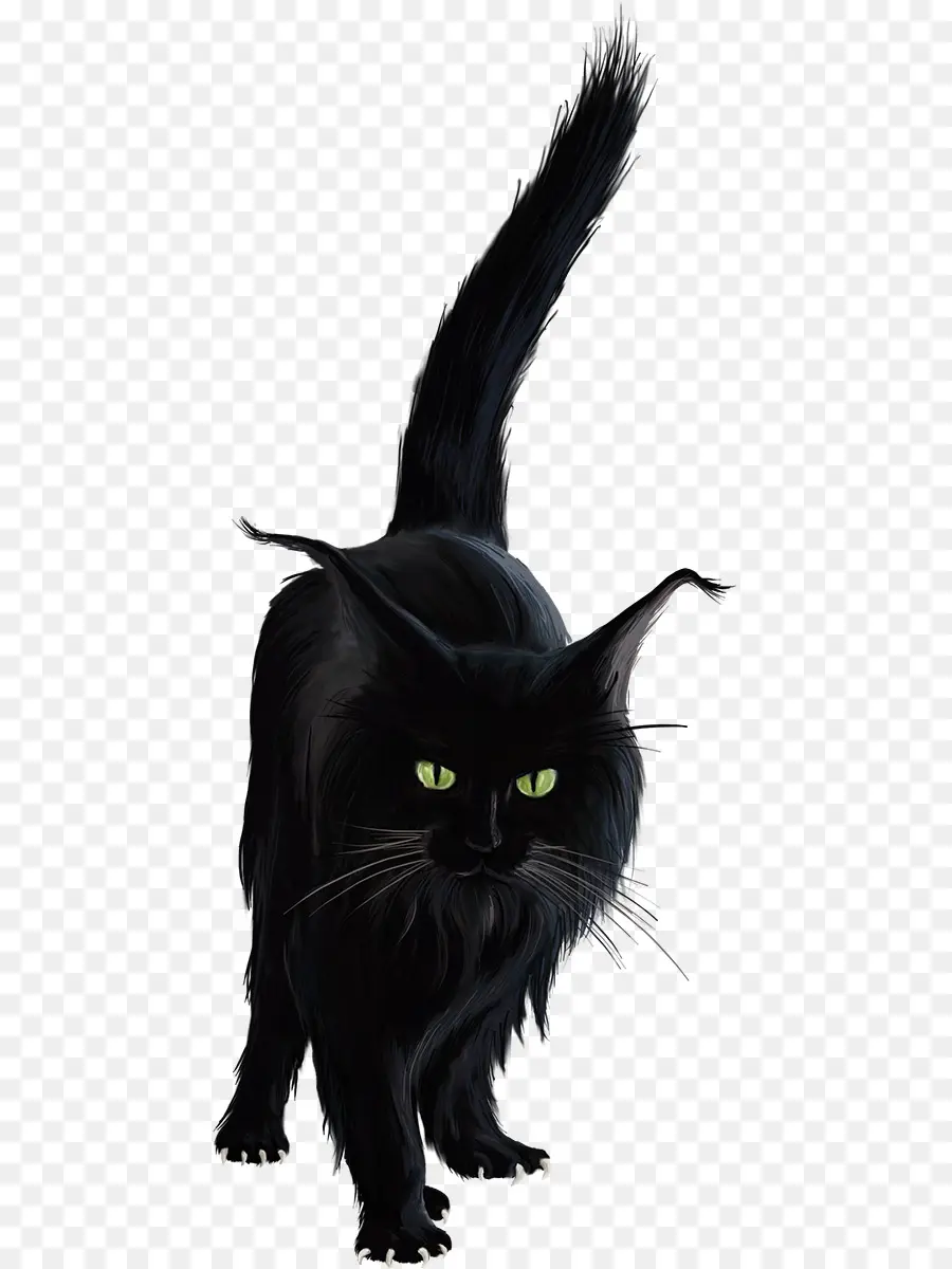 Kucing Hitam，Licik PNG