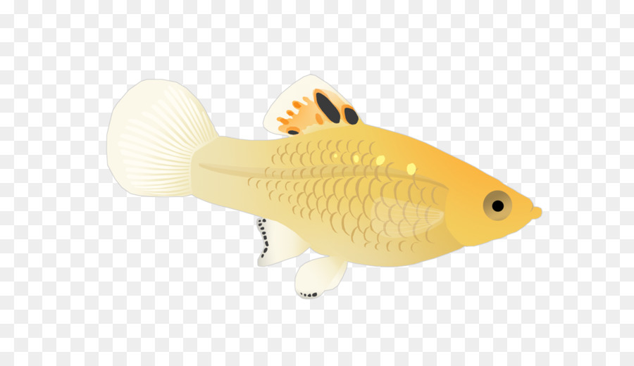 Ikan，Laut PNG