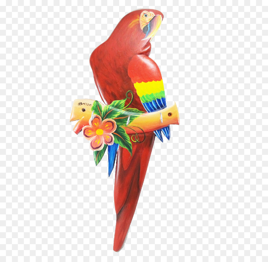 Macaw，Loriini PNG