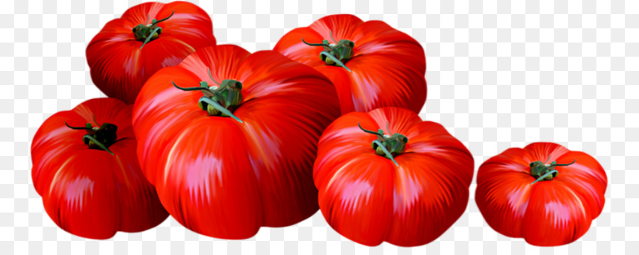 Tomat Plum，Paprika PNG