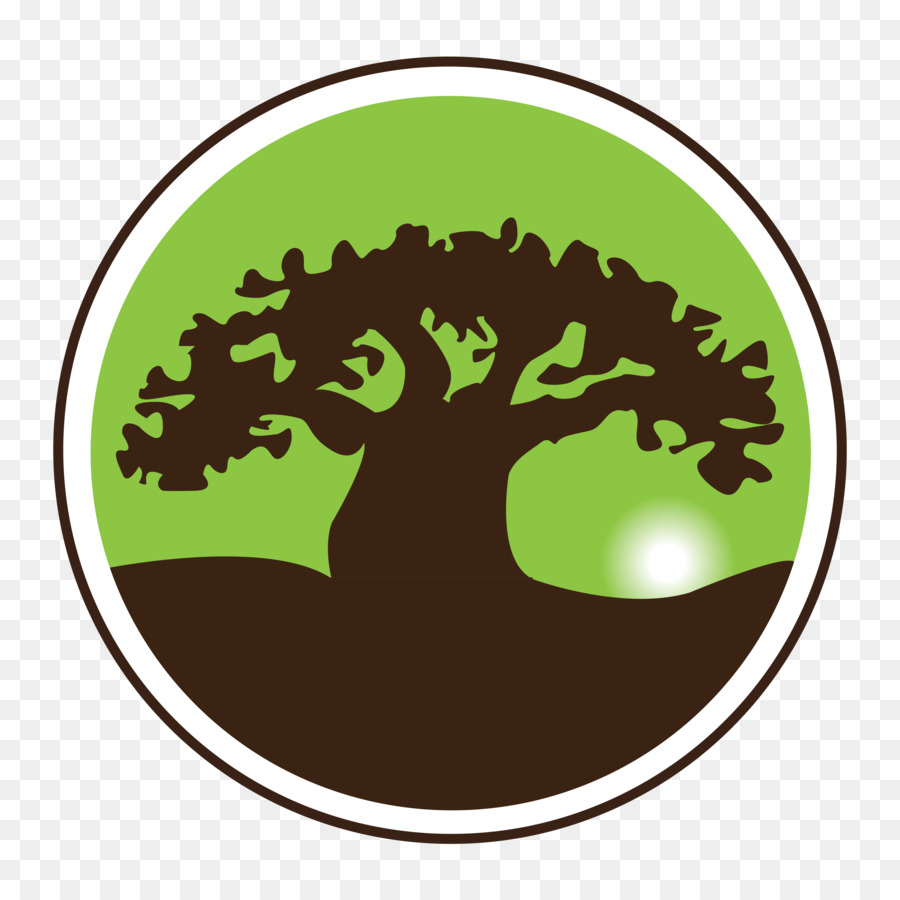 Logo，Pohon PNG