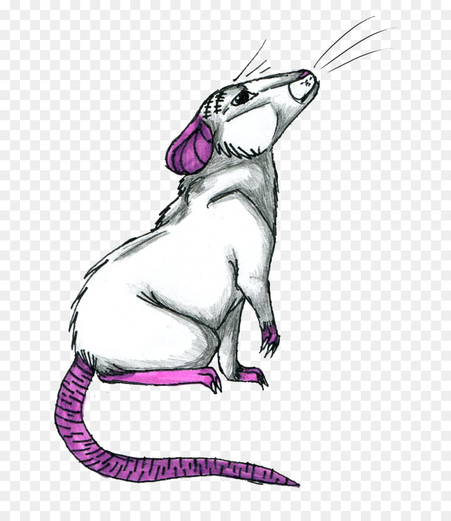 Kumis，Mouse PNG