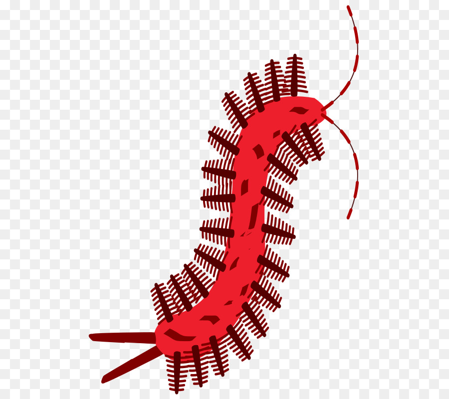 Ikon Komputer，Scolopendra PNG