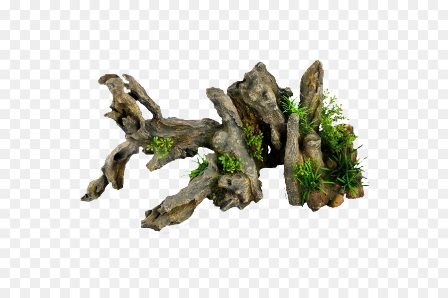 Pohon，Driftwood PNG
