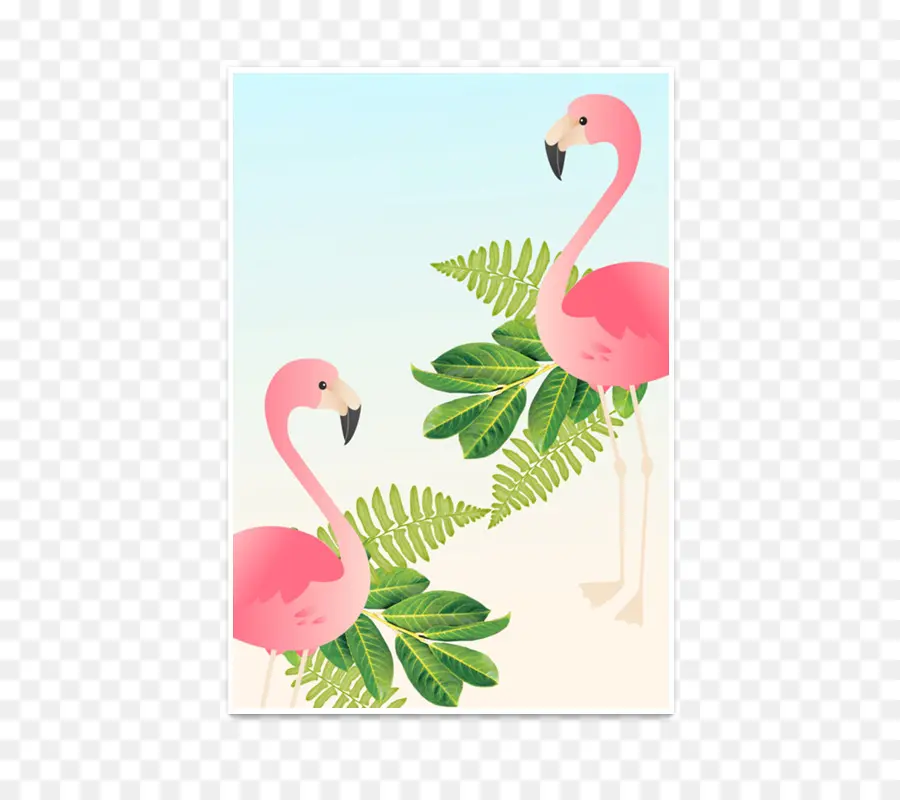 Flamingo，Bingkai Foto PNG