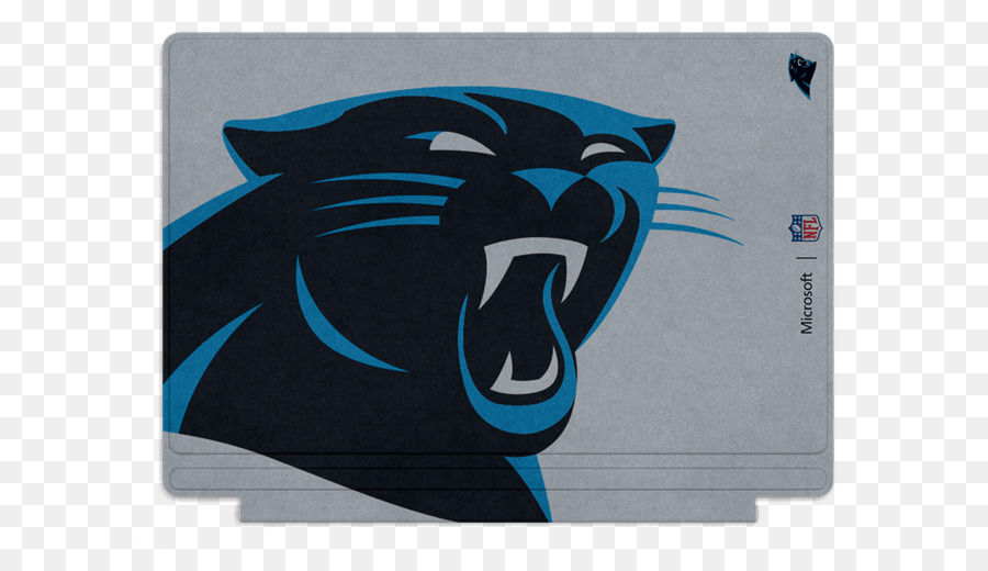 Nfl，Carolina Panthers PNG