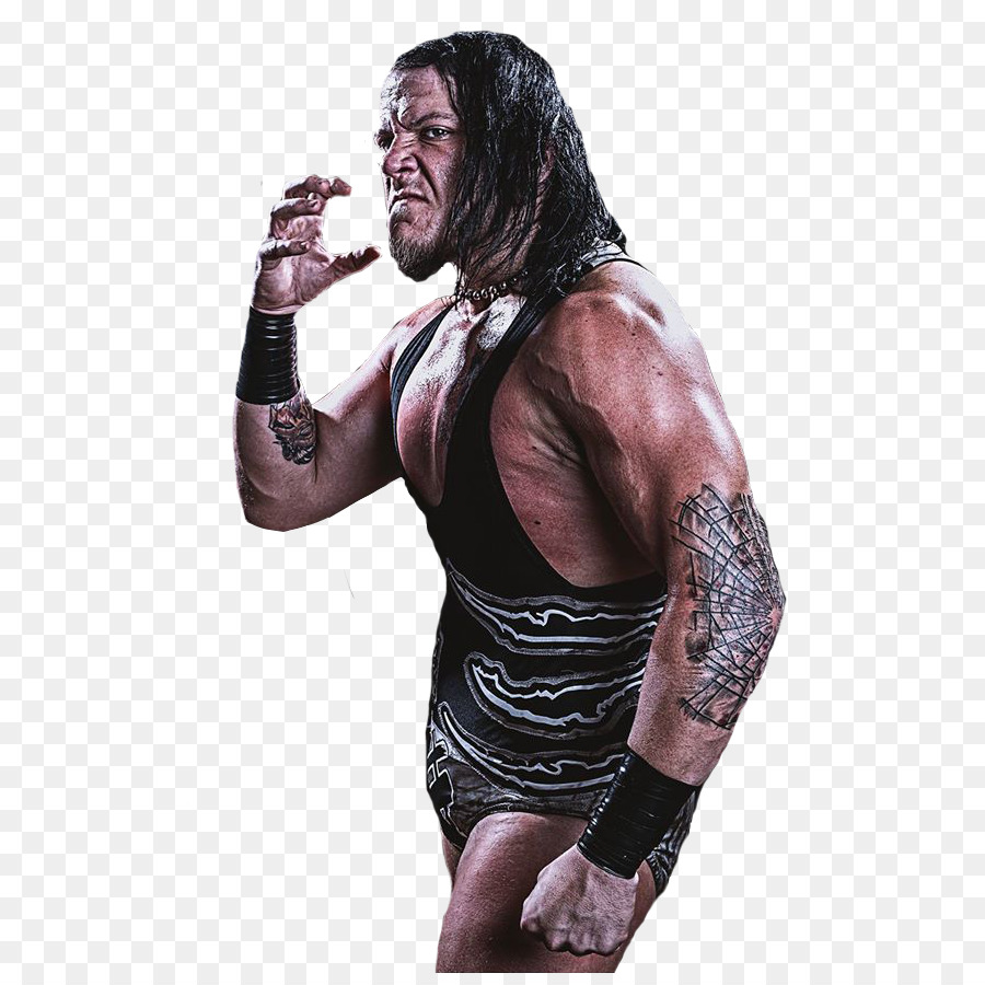 Sami Callihan，Pegulat Profesional PNG