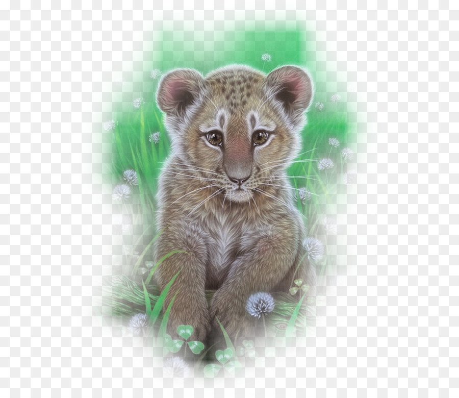 Kucing Harimau Hewan Hitam Putih Mewarnai Buku Gambar Png