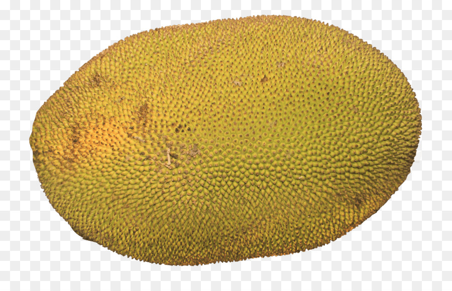 Nangka，Tropis PNG